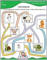 Yavruları Annelerine Götür